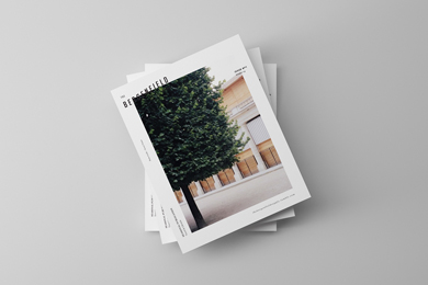 port img v 6 - Show project X
